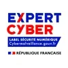 Expert Cyber