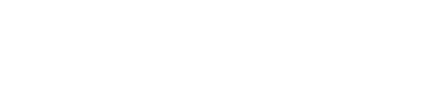 Logo Hornet Security