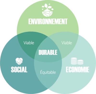 Schema croisement : Environnement - Social - Économie