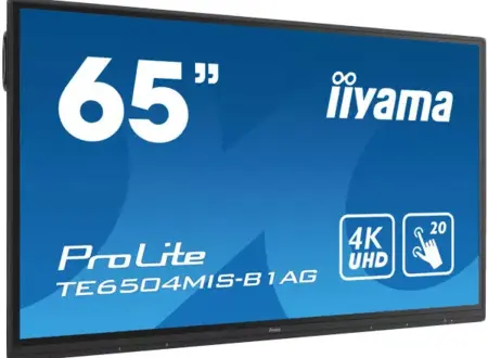 iiyama