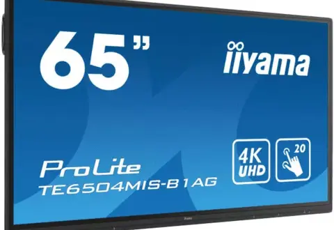 Ecran IIYAMA