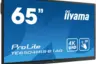 iiyama
